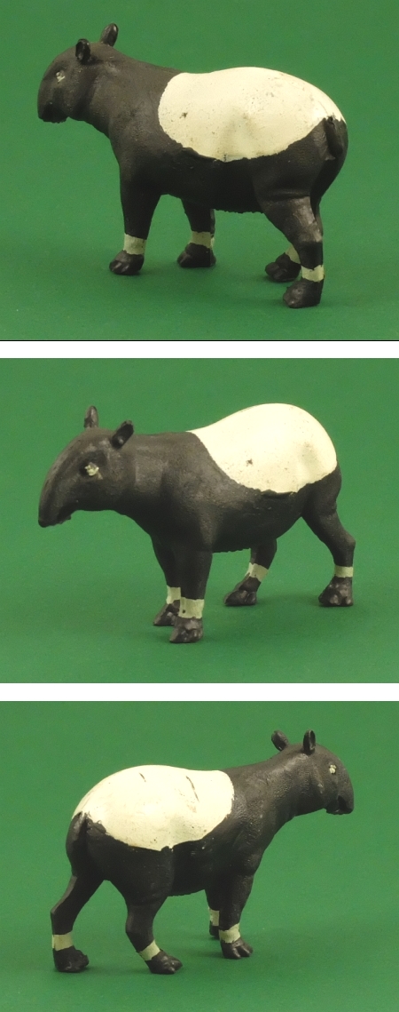 1362 Tapir