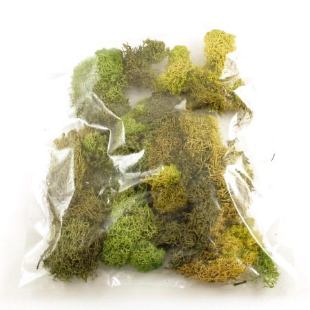 Scenic Lichen Mixed Greens