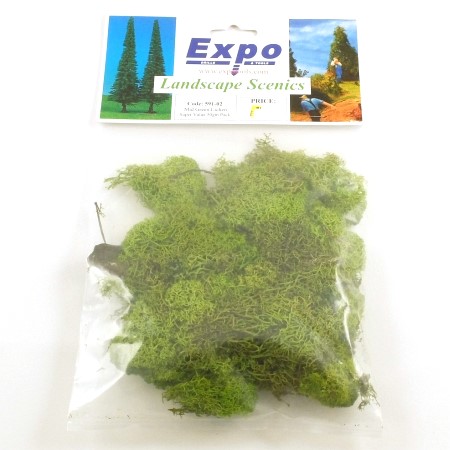  Expo 991-02 Scenic Lichen Mixed Greens