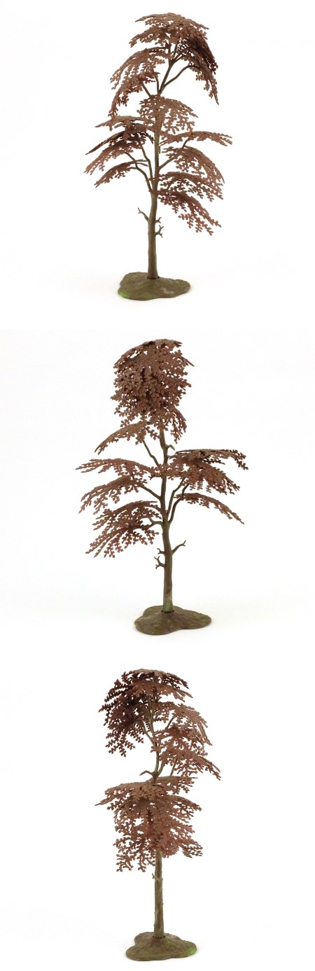 1807 Copper Beech Tree