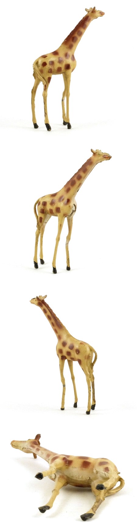 Z3 Giraffe