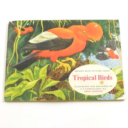  Brooke Bond - Tropical Birds