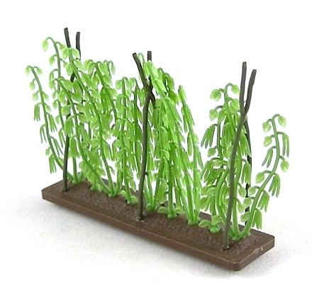 Vegetable Bed with Runner Beans
