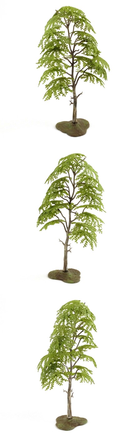 1806 Silver Birch Tree