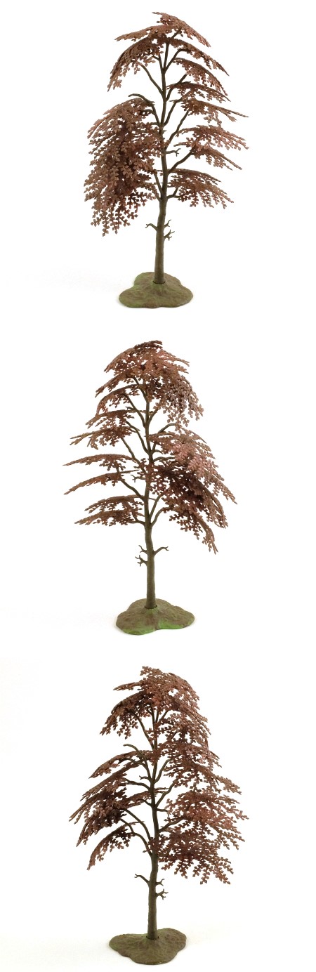 1807 Copper Beech Tree