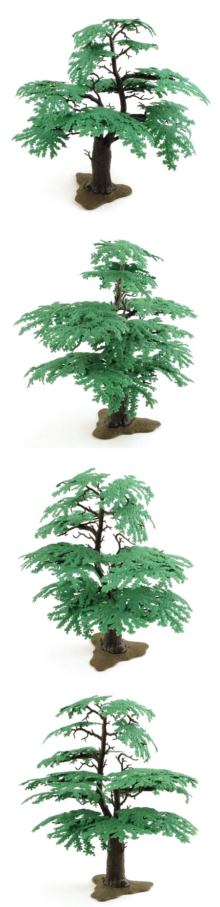 1822 Oak Tree
