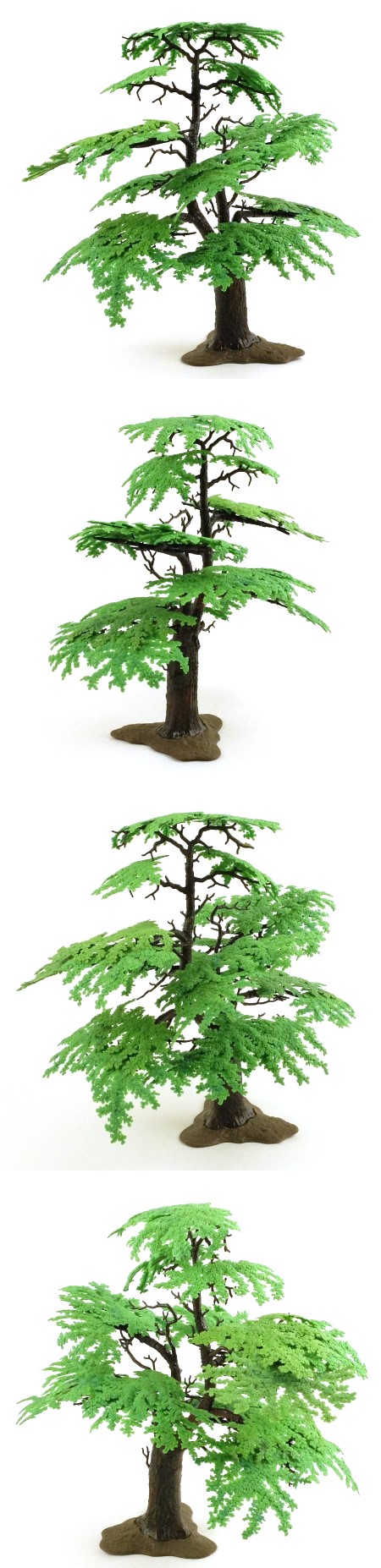 1822 Oak Tree