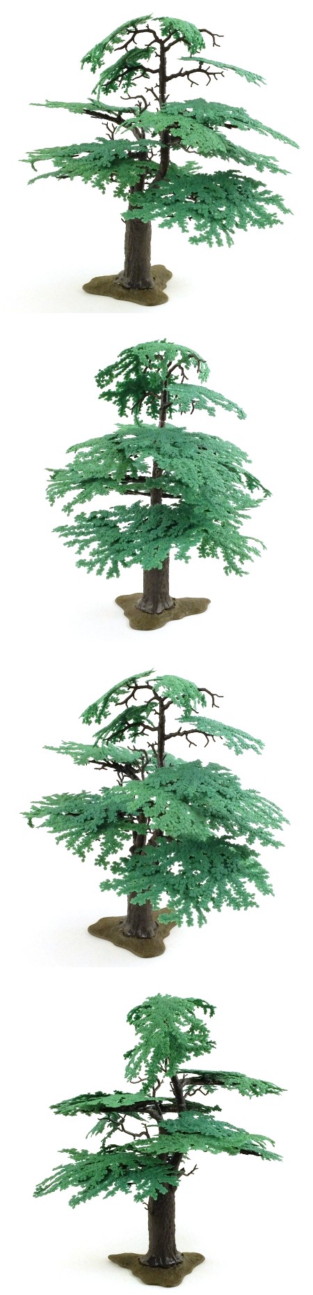 1822 Oak Tree