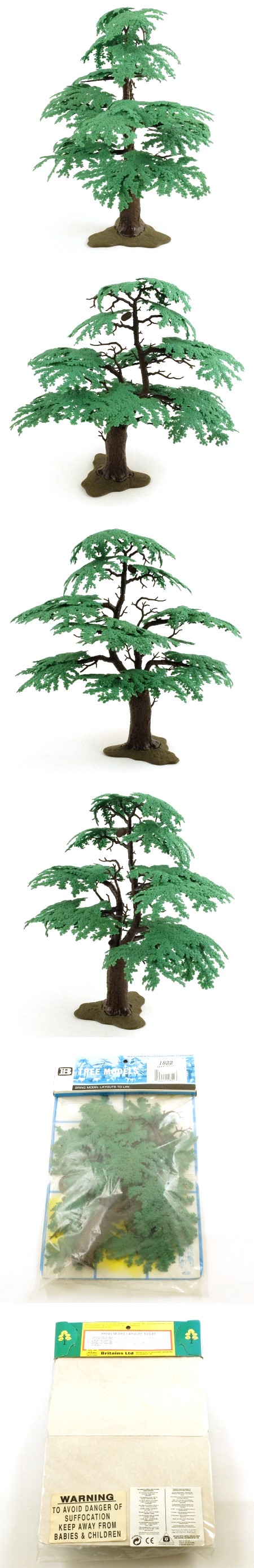 1822 Oak Tree