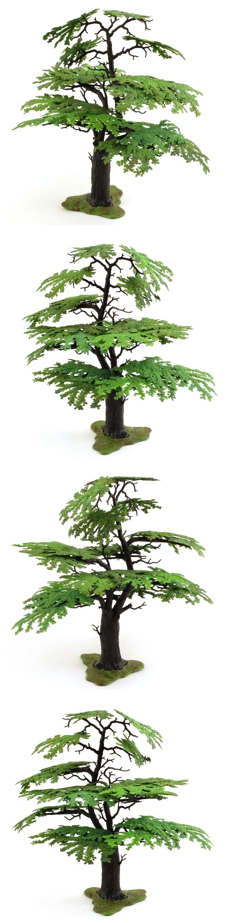 1822 Oak Tree