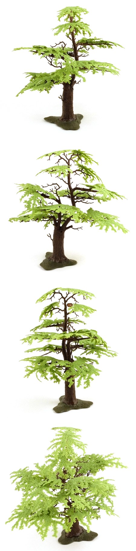 1822 Oak Tree