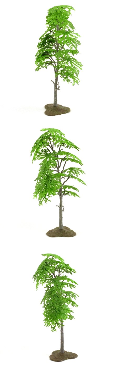 1806 Silver Birch Tree