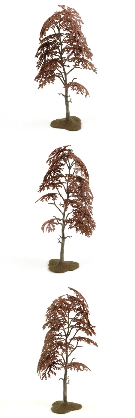 1807 Copper Beech Tree