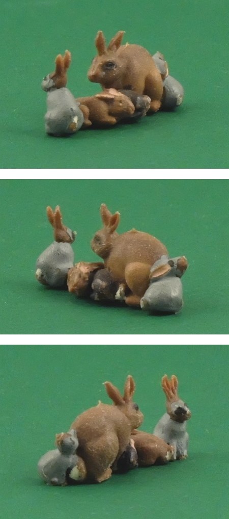 2296 Doe Rabbit and Young