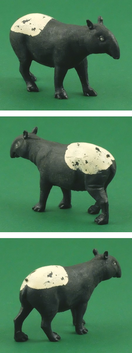 1362 Tapir
