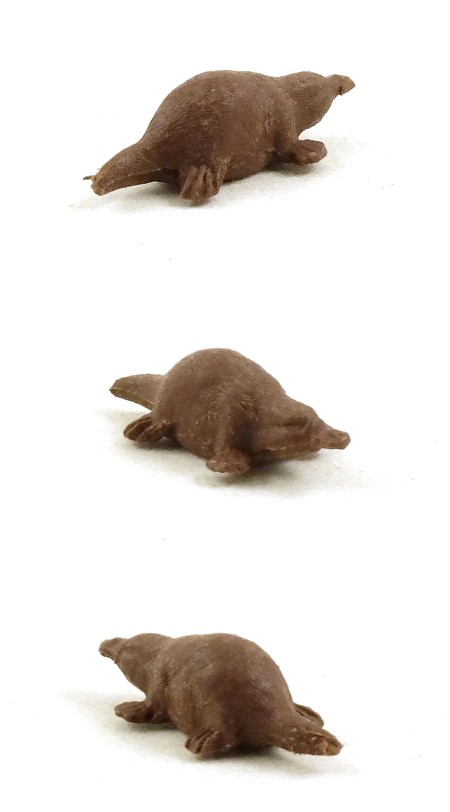 1323 Duck Billed Platypus