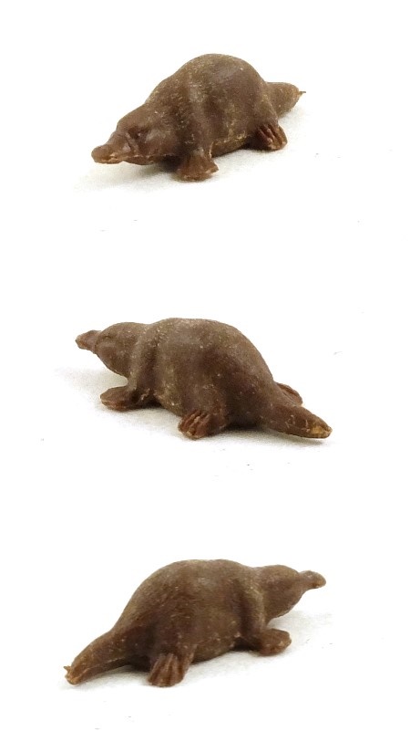 1323 Duck Billed Platypus