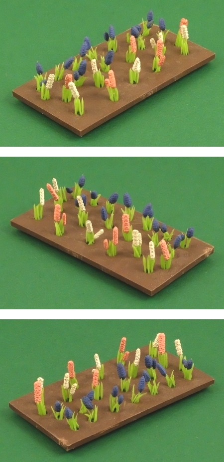 2537 Hyacinths