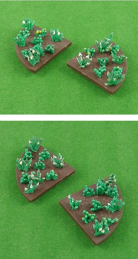 2535 Crocus & Snowdrops 