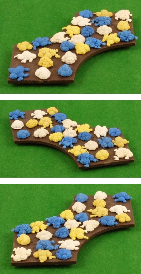 2536 Assorted Rock Plants