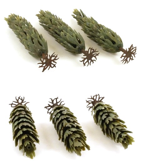 5048 Poplar Trees x 3