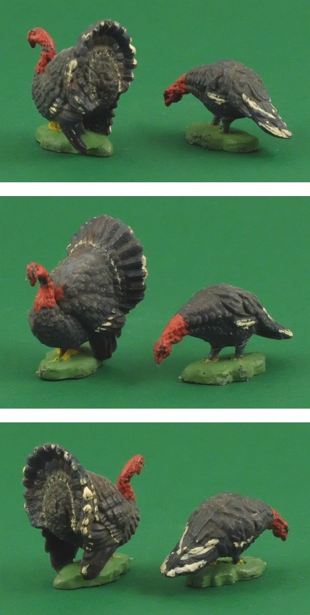 Turkeys, pair