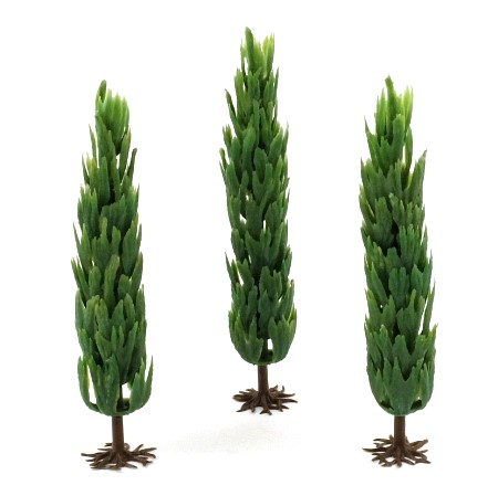 Merit 5048 Poplar Trees x 3