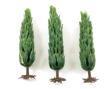 5048 Poplar Trees x 3